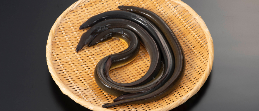 品質へのこだわり